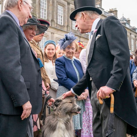 König Charles streichelt einen Hund auf einer Gartenparty in Schottland im Garten des Holyroodhouse. Er trägt einen schwarzen Frack und einen schwarzen Hut.