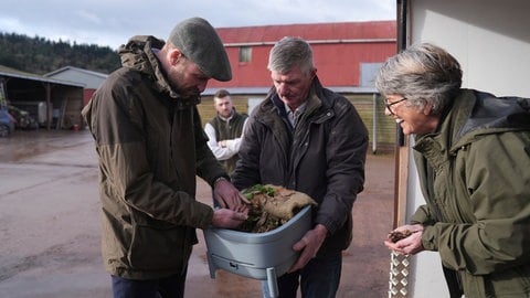 Der britische Prinz William wird bei einem Besuch der Lower Blakemere Farm, einer Duchy Focus Farm in Hereford, England, bei der Kompostierung von Würmern gezeigt.