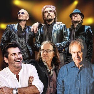 Montage: Thomas Anders, Bee Gees Coverband Nightfever, Chris de Burgh und Chako Habekost – diese Künstler sind beim SWR4 Festival in Wörth