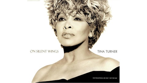 Plattencover Tina Turner