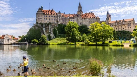 Ehemaliges fürstliches Residenzschloss und Verwaltungssitz der Fürsten von Hohenzollern-Sigmaringen.