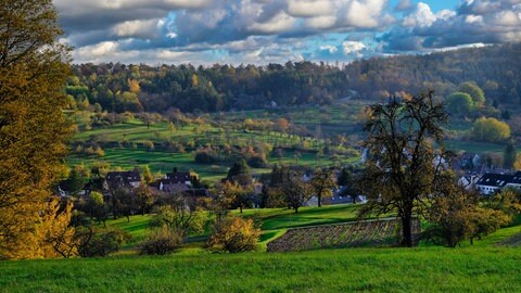 Wandern im Welzheimer Wald rund um Berglen mit Blick über eine Streuobstwiese nach Berglen-Hößlinswart.