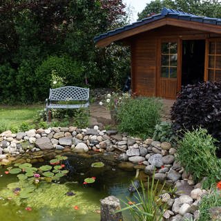 Neben dem runden Gartenteich mit Seerosen und Algen steht eine Bank auf dem grünen Rasen. Daneben ist eine hübsche Gartenhütte aus Holz mit offenen Türen zu sehen.