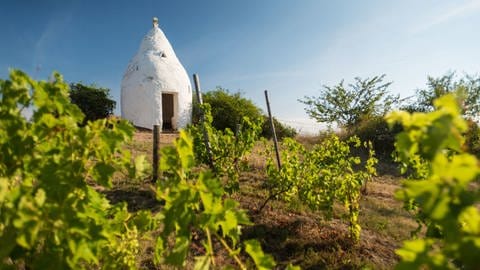 Wanderung auf der Hiwweltour: Ein Trullo in den Weinbergen von Rheinhessen bei Flonheim