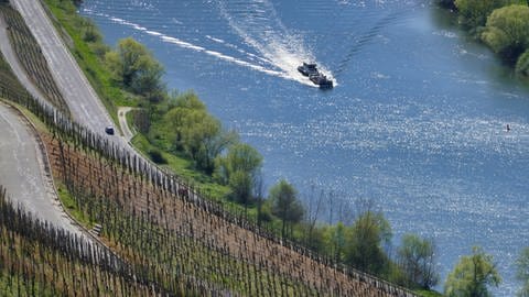 Rundwanderweg Klüsserather Sagenweg: Atemberaubender Blick über die Weinberge ins Moseltal