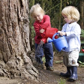 Trockenheit: Zwei Kinder gießen mit kleinen Gießkannen einen Baum