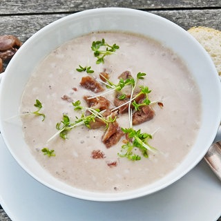 Cremige Maronensuppe: Eine Maronensuppe mit Stückchen von Maronen und Kräutern darüber gestreut ist in einer weißen Suppenschale angerichtet. Auf dem Unterteller liegen ein Suppenlöffel und Scheiben von Weißbrot. Links daneben liegen mehrere Maronen.