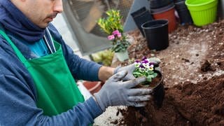 Torffrei Gärtnern: Erde ohne Torf im Garten verwenden, um das Klima zu schützen. 