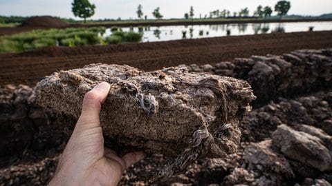 Torffrei Gärtnern: Erde ohne Torf im Garten verwenden, um Moore zu schützen.