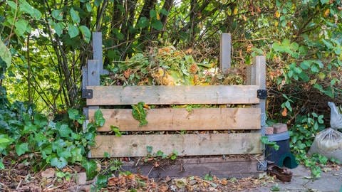 Kompost im Garten anlegen, um Abfälle zu kompostieren.