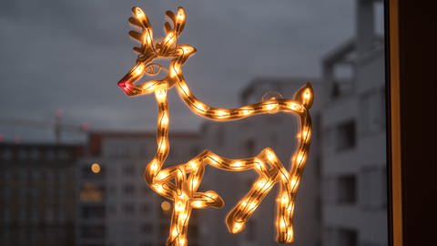 Ein leuchtendes Reh hängt als Weihnachtsdekoration an einem Fenster.