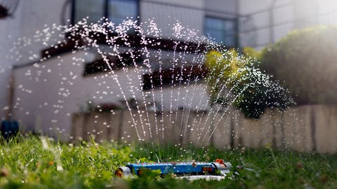 Ein Rasensprenger wässert einen Rasen in einem Garten vor einem Haus. 