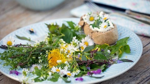 Giersch im Garten: Unkraut oder Heilpflanze? Viele Frühlings- und Sommerpflanzen als Salat auf einem Teller.