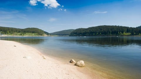 Schluchsee: See zum Baden im Sommer mit Strand