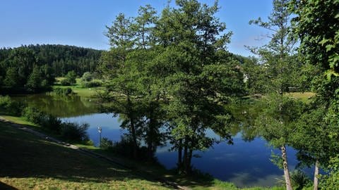 Der Stausee in Rangendingen im Zollernalbkreis bietet sich im Sommer zum Baden an.