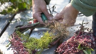 Hübscher Kränze für den Herbst binden.