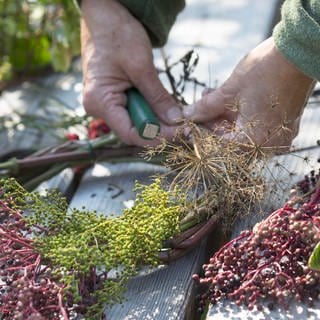 Hübscher Kränze für den Herbst binden.