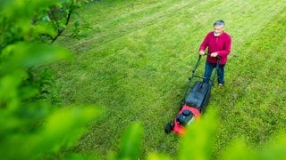 Ein Mann mäht seinen Rasen, damit er schön nachwachsen kann.