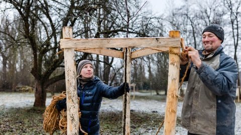 Ein frisch gepflanzter Baum wird durch einen "Dreibock" gestützt. So schützen Sie die Bäume im Herbst. 