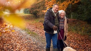 Herbstblues – Symptome und Tipps: Ein Paar geht mit einem Hund durch den herbstlichen Wald spazieren und freut sich.