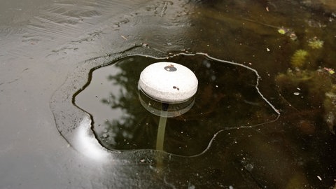 Eisfreihalter schützen den Gartenteich im Winter vor dem Zufrieren, damit Tiere wie Fische überleben können. Pflanzen im Teich erfüllen denselben Zweck.