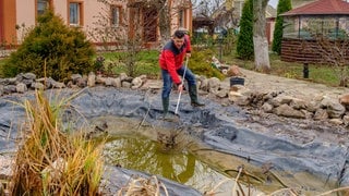 Ein Mann steht im Herbst im Garten am Gartenteich bei der Pflege des Teichs vor dem Winter. Mit einem Kescher holt er Reste von Pflanzen und Laub aus dem Wasser.