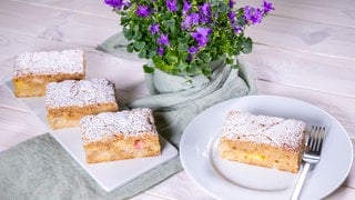 Die Rhabarberschnitte ist einfach und schnell zubereitet und fertig zum Verzehr auf einem Teller angerichtet.