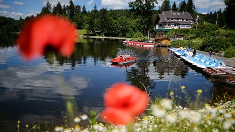 Familie mit einem Tretboot auf dem Ebnisee