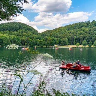 Badesee in Rheinland-Pfalz: Das Gemündener Maar ist das nördlichste der drei Dauner Maare.