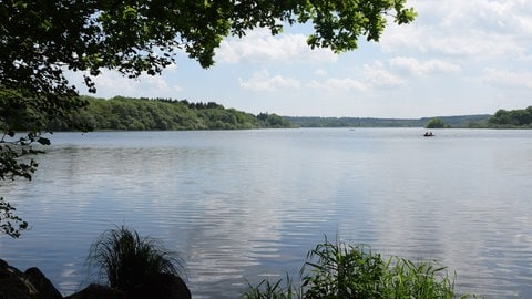 Schwimmen im Dreifelder Weiher im Westerwald im Sommer