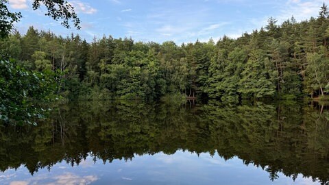 Der Waldsee in Argenthal in der Nähe von Simmern im Hunsrück lädt zum Schwimmen und Baden ein.