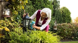 Gartenbeleuchtung: Außenleuchten wie LED im Garten mit lauwarmem Wasser und etwas Spülmittel reinigen.