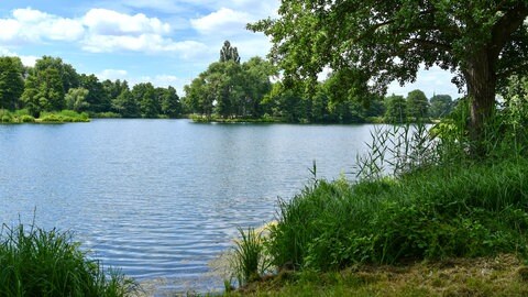 Der Niederwiesenweiher zwischen Böhl-Iggelheim und Schifferstadt