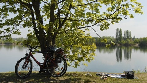 Das Binsfeld besteht aus mehreren Baggerseen auch zum Baden im Sommer.