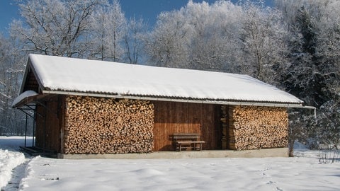 Tieren im Winter helfen: Holzscheite vor einem Holzschuppen in einer Winterlandschaft. Das ideale Versteck für Insekten.