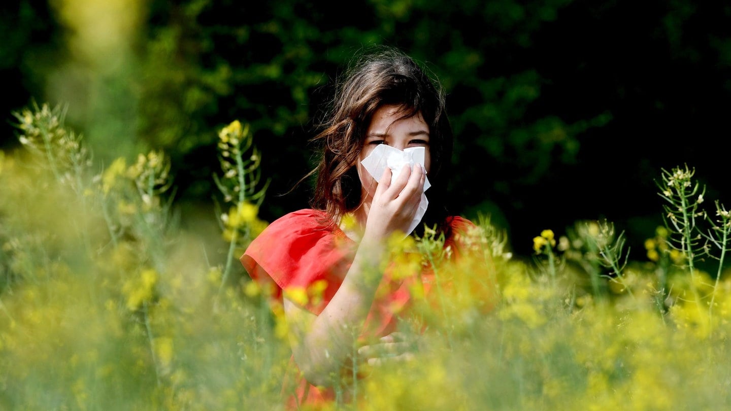 Eine Frau putzt sich zwischen Blüten die Nase: Mit den Frühblühern beginnt die Leidenszeit für Menschen mit Heuschnupfen. Die Pollen gelangen über die Schleimhäute in den Körper und lösen Allergien aus.