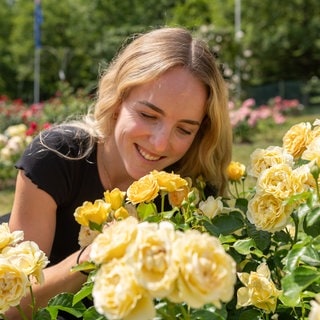 Eine Frau schaut sich im Garten der internationalen Rosenneuheiten in Baden-Baden die Gewinnerrose mit dem Namen "Spotlight" an.