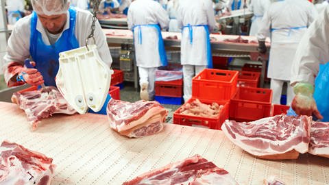 Mitarbeiter des Fleischunternehmens Tönnies arbeiten an einem Fliesband. Arbeitsminister Hubertus Heil will Werkverträge in Schlachthöfen und fleischverarbeitenden Betrieben verbieten.