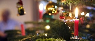 Kerzen an einem Weihnachtsbaum: Alle Jahre wieder die Frage: Wann und wo sollte man den Weihnachtsbaum kaufen? Wie hält man ihn bis Heiligabend frisch? Und welcher ist auch aus ökologischer Sicht der beste Baum?