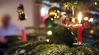 Kerzen an einem Weihnachtsbaum: Alle Jahre wieder die Frage: Wann und wo sollte man den Weihnachtsbaum kaufen? Wie hält man ihn bis Heiligabend frisch? Und welcher ist auch aus ökologischer Sicht der beste Baum?