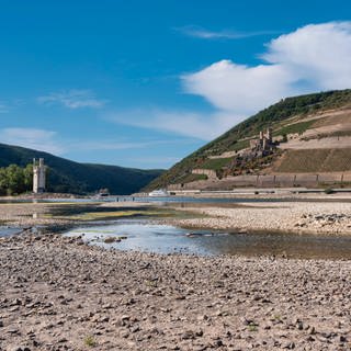 Rhein bei Bingen in Rheinland-Pfalz mit extremem Niedrigwasser im Dürresommer 2022