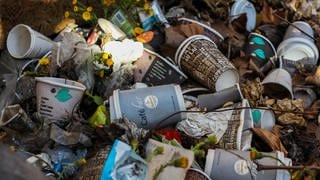 Das neue Verpackungsgesetz soll auch so ein Bild vermeiden helfen: Ganz viele Einwegbecher in einm Müllhaufen auf der Straße vermischt mit Herbstlaub.