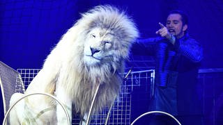 Martin Lacey jr. und ein weisser Löwe zeigen ihre Dressur bei der Pressevorstellung der Circus Krone Premiere "New Memories" im Münchner Kronebau.