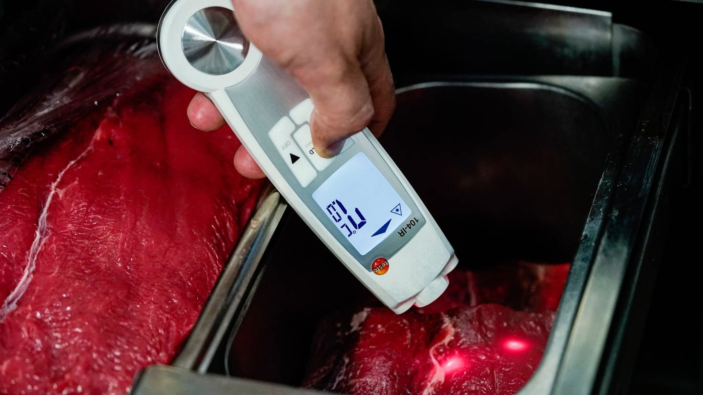 Ein Lebensmittelkontrolleur hält in der Küche eines Restaurants ein Thermometer an Fleischstücke.