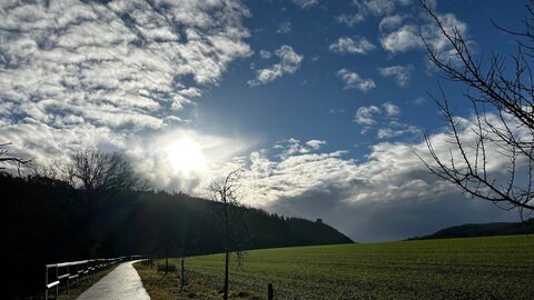 Zwischen der Ebernburg und der Altenbaumburg bei Bad Kreuznach war ich gestern laufen. Nachdem es kurz zuvor noch stark geregnet hatte, gewann die Sonne an Kraft und kreierte wundervolle Licht-Schattenspiele mit Hilfe der herrlich klaren Luft.