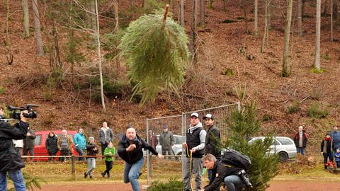 Ein Mann wirft einen Tannenbaum bei der Weihnachtsbaumwerfen-Weltmeisterschaft in Weidenthal.
