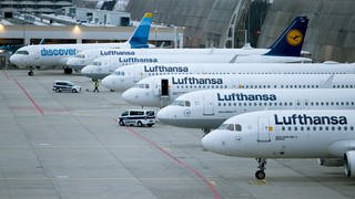 Abgestellte Flugzeuge der Lufthansa sowie eines der Discovery Airline stehen auf dem Flughafen Frankfurt. 
