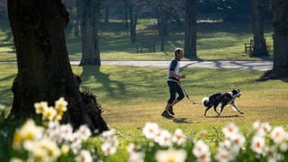 Ein Mann joggt mit Hund in einem frühlingshaften Park