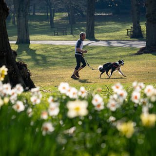 Ein Mann joggt mit Hund in einem frühlingshaften Park