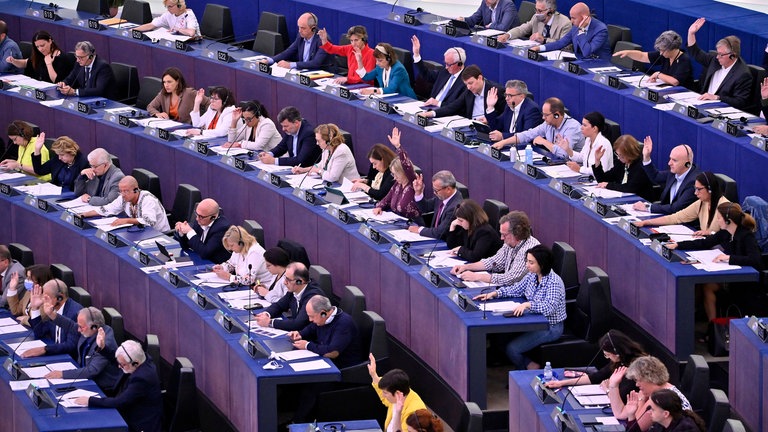 Abstimmung im Plenarsaal des Europäischen Parlaments in Straßburg